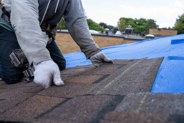 Gutter Installation and Roofing in Cairo, NE